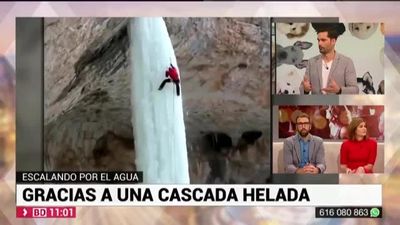 Buenos Días Madrid 14.11.2019 (10.30 - 11.30)