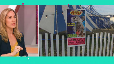 Está Pasando 14.11.2019