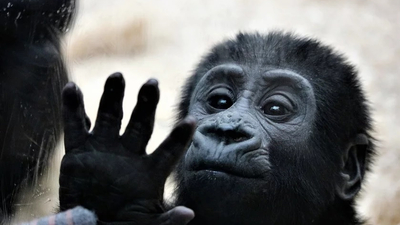 ¿Lavarse las manos para prevenir enfermedades?