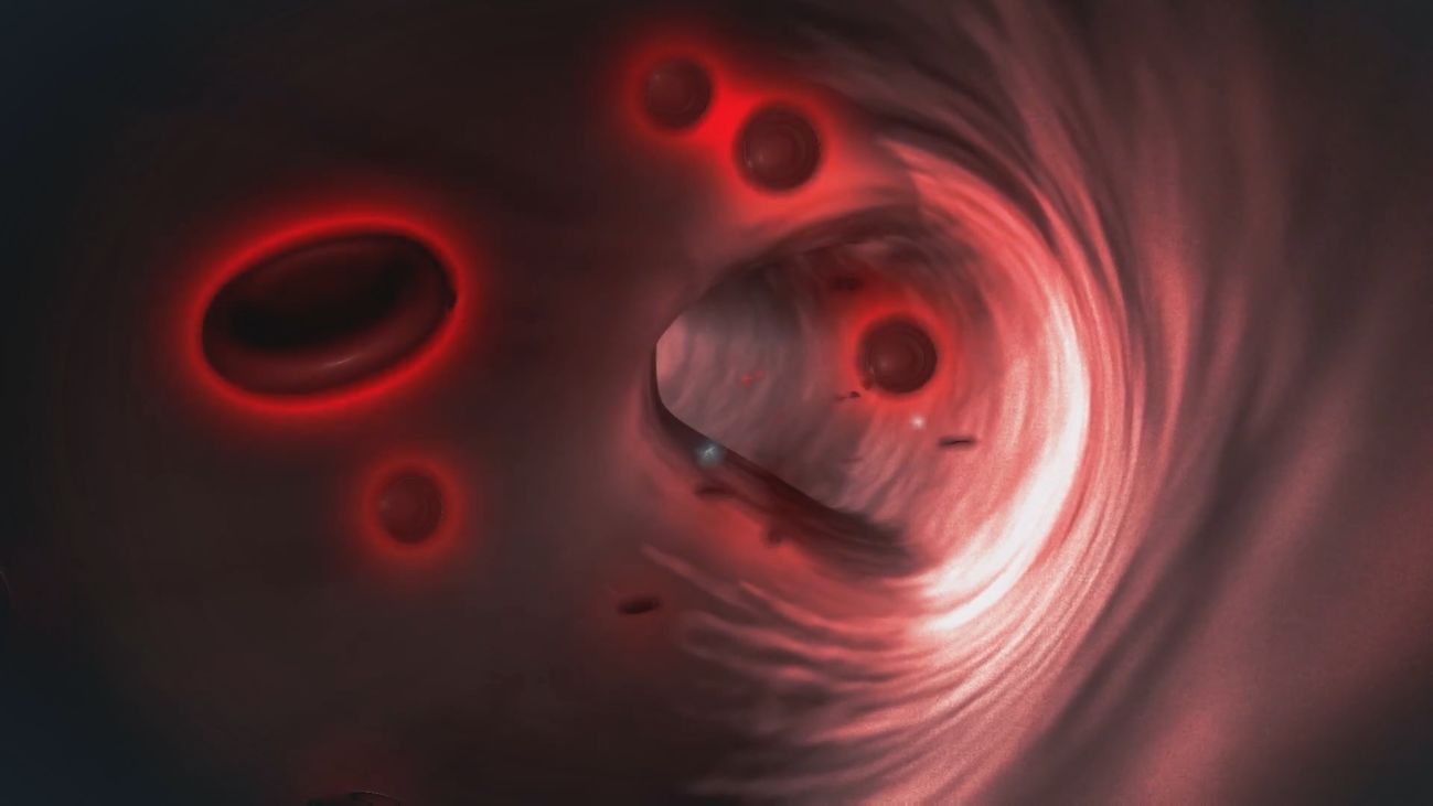 Salud al día 17.11.2019