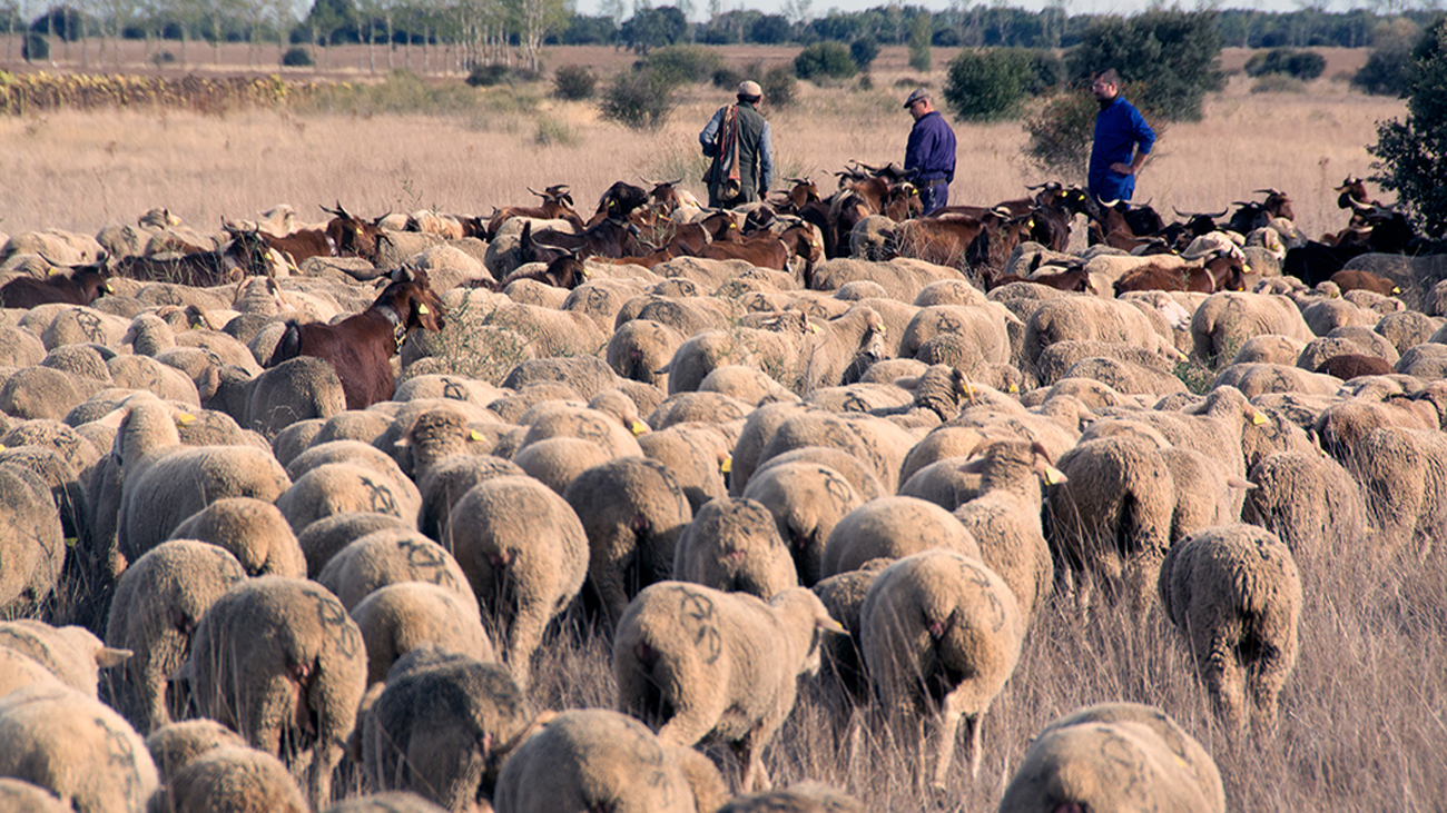 ‘Barbecho’, la lucha de los agricultores contra el despoblamiento