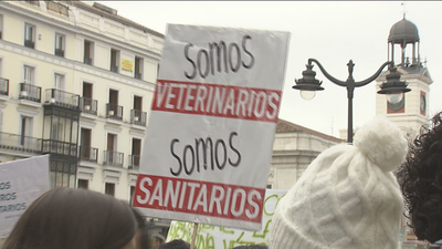 Los veterinarios se manifiestan para reclamar mejoras laborales y visibilidad