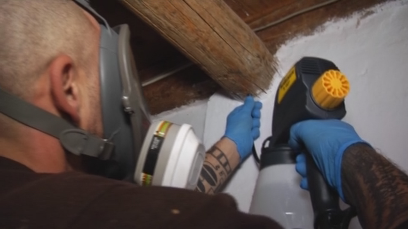 Una plaga de termitas devora una casa de madera