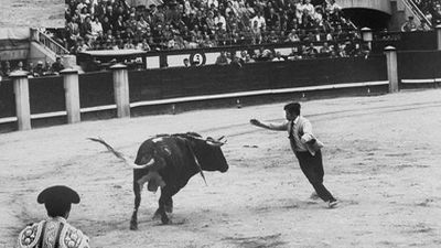 Un repaso en imágenes de Manuel Benítez  'El Cordobés'