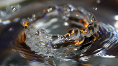 Nueces de jabón como alternativa al detergente habitual