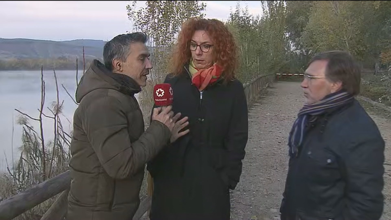 Una tonelada y media de peces muertos han sido encontrados en Velilla de San Antonio