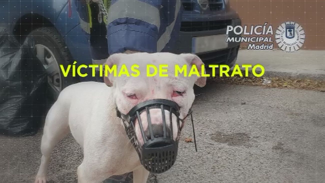 Madrid Directo 20.11.2019