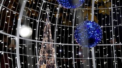 Más de un millón de luces led engalanarán el Jardín Botánico en Navidad