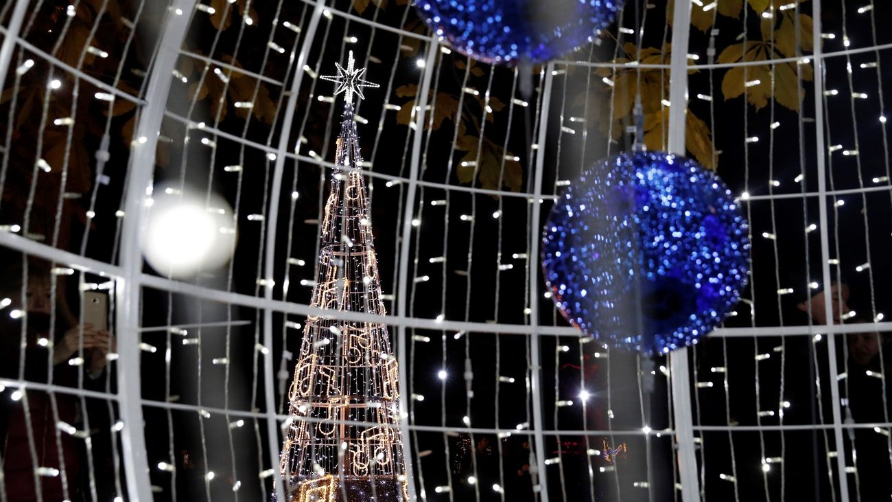 Más de un millón de luces led engalanarán el Jardín Botánico en Navidad