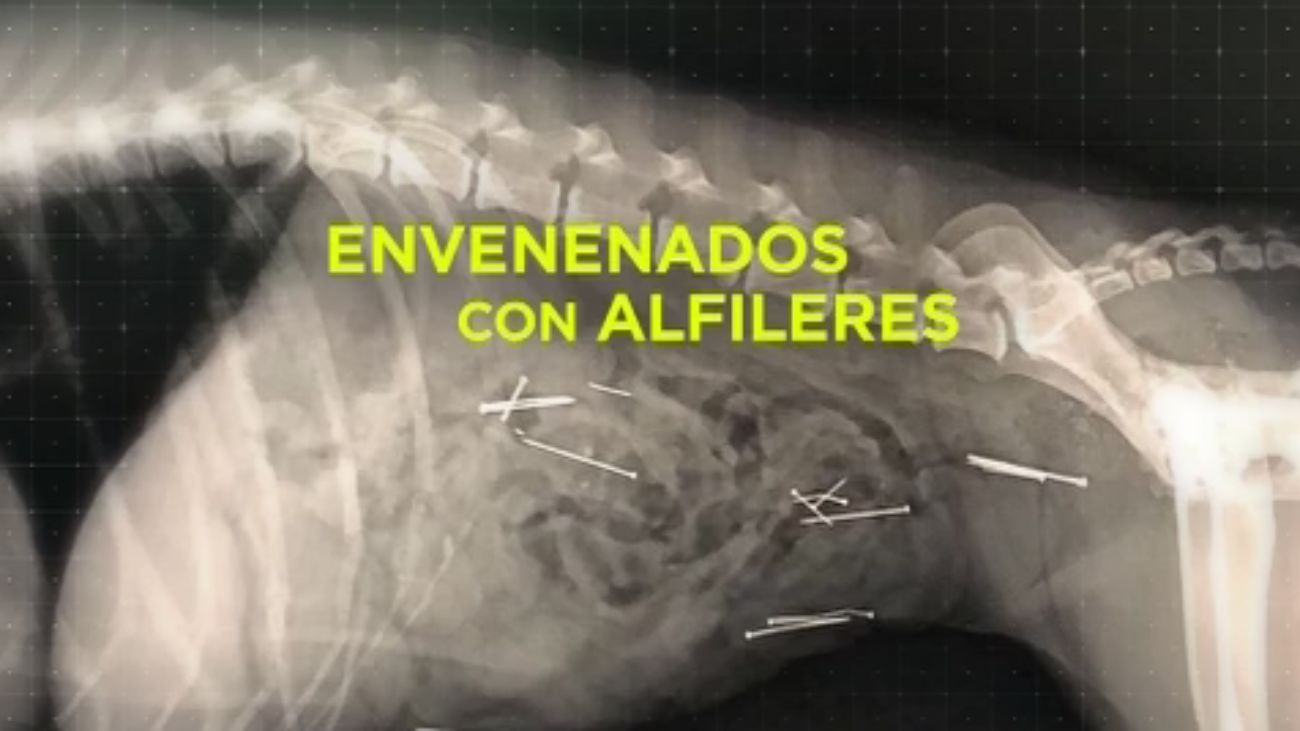 Madrid Directo 21.11.2019