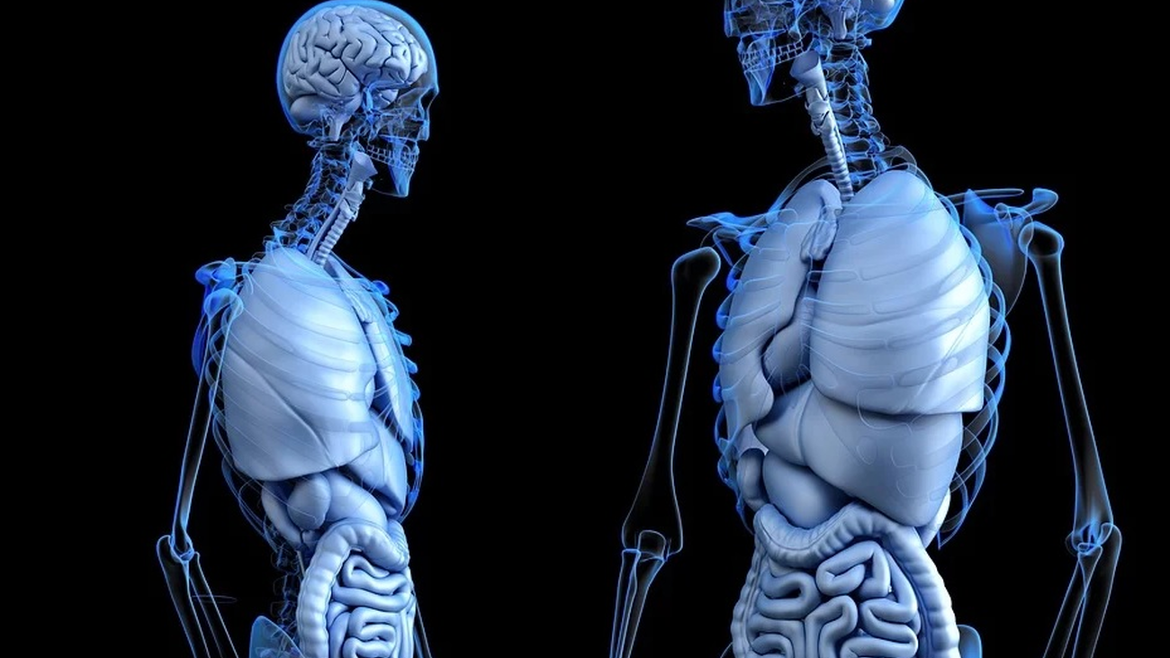 Fortalece tus huesos con estos ejercicios