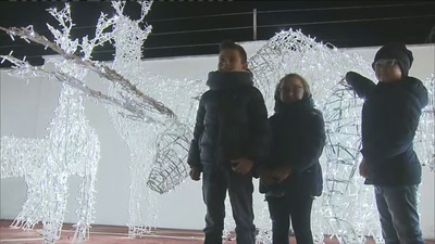 Nuevos accesos para las Mágicas Navidades de Torrejón