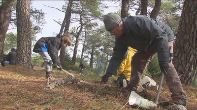 Vecinos y ecologistas reforestan con semillas autóctonas el monte Abantos
