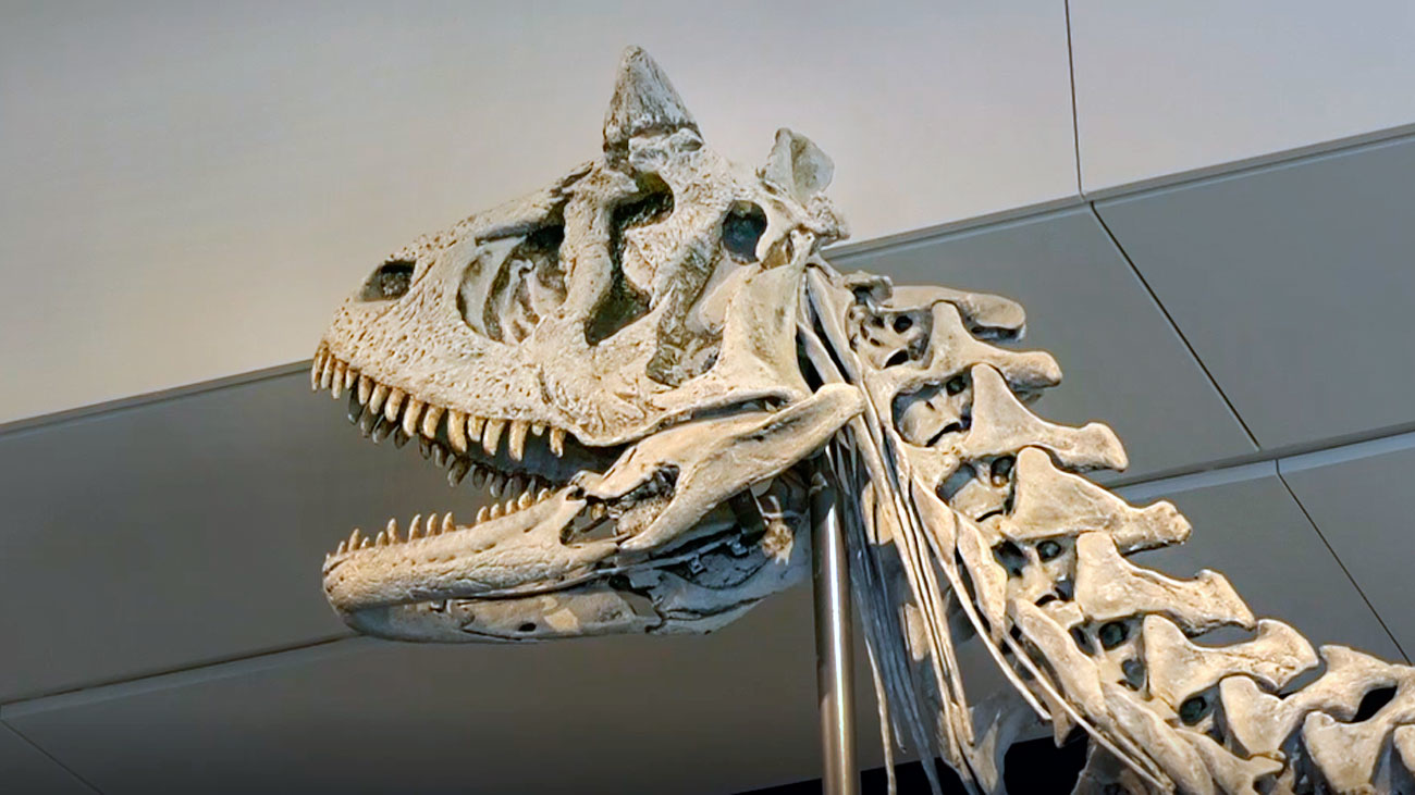 Ottawa Jail House y Museo de la Naturaleza