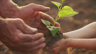 Madrid cuenta con 164 ecoescuelas que fomentan la sostenibilidad ambiental