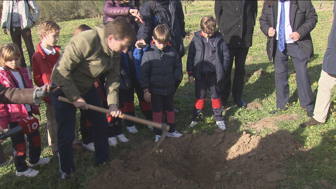 Plantan árboles en Valdebebas por la Cumbre del Clima de Madrid