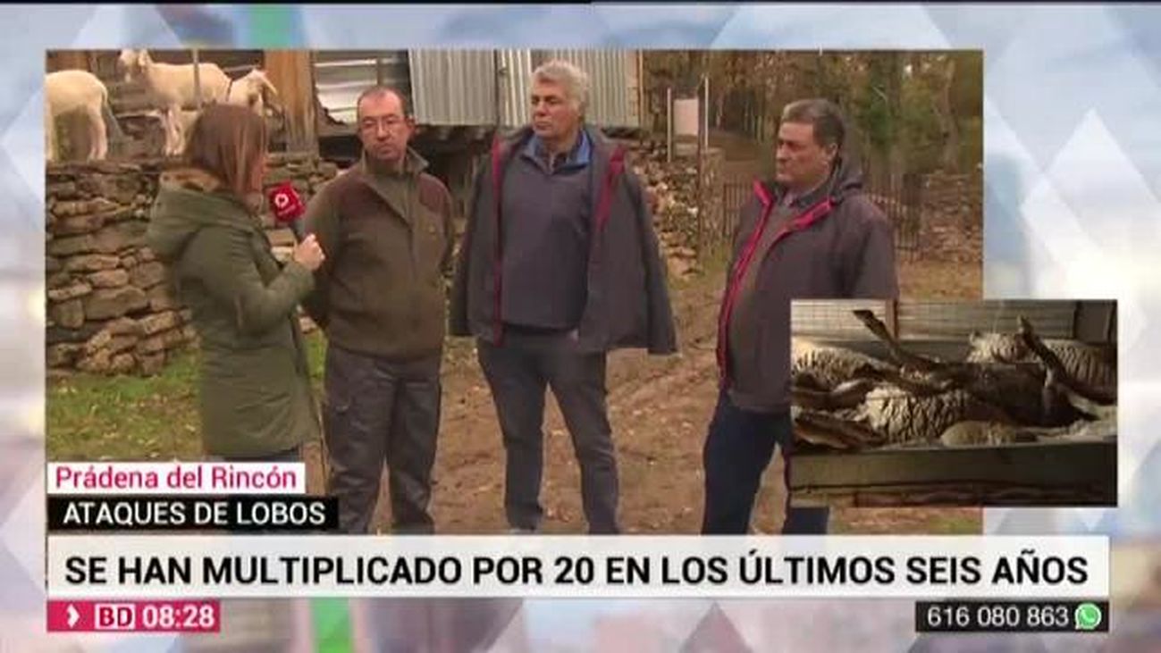 Buenos Días Madrid 26.11.2019 (8.00 - 9.00)