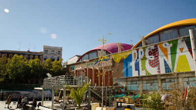 Los huertos urbanos, ¿moda o futuro?