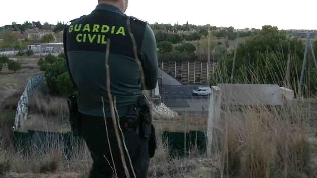 Peligro, animales salvajes en la M-50