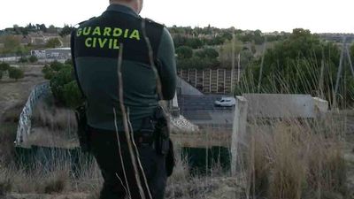 Peligro, animales salvajes en la M-50