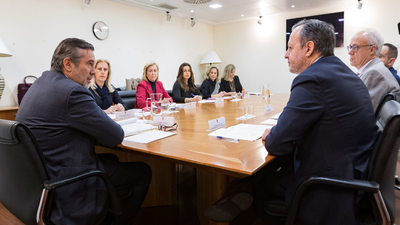 El Observatorio de Violencia de Género se reunirá tras cada asesinato machista
