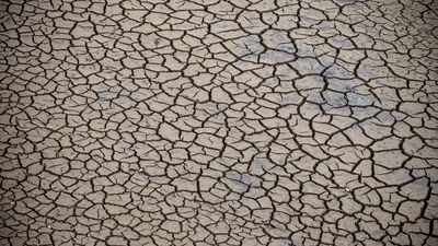 La Eurocámara declara la emergencia climática y reclama medidas "urgentes" para detenerla