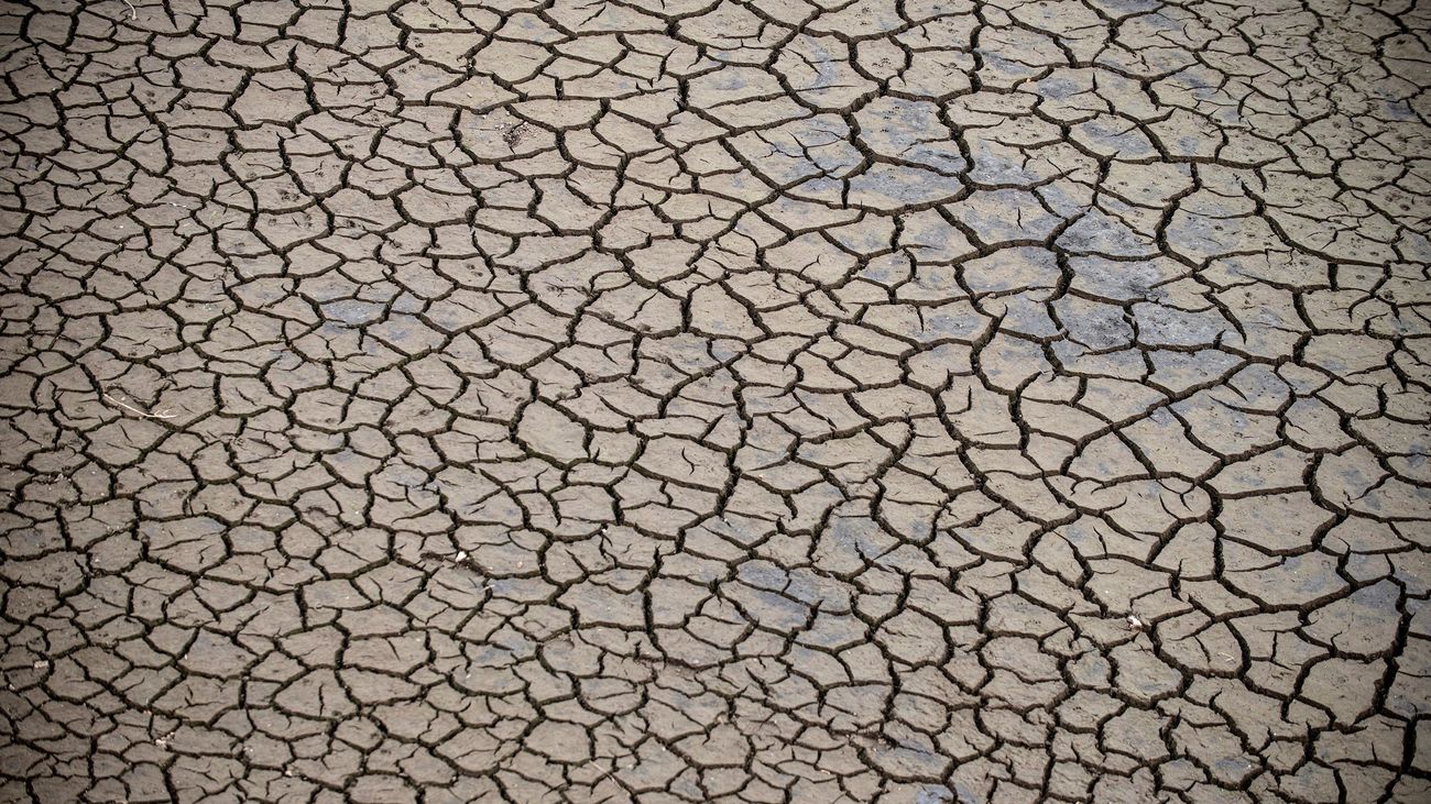 Detalle de la tierra cuarteada por la ausencia de lluvia