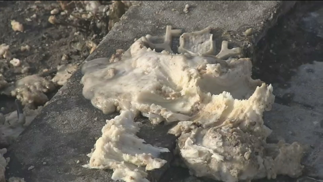 Las bolas de sebo invaden un polígono de Humanes