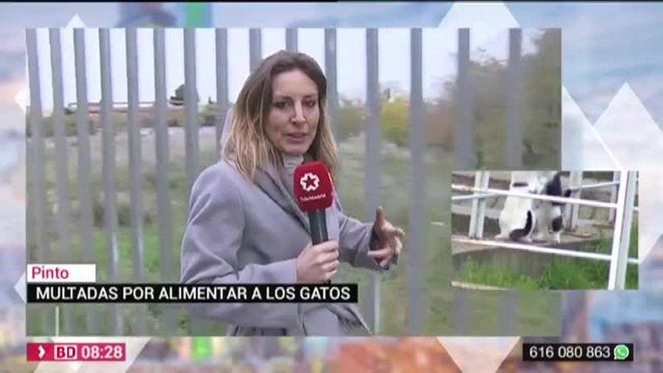 Buenos Días Madrid 29.11.2019 (8.00 - 9.00)