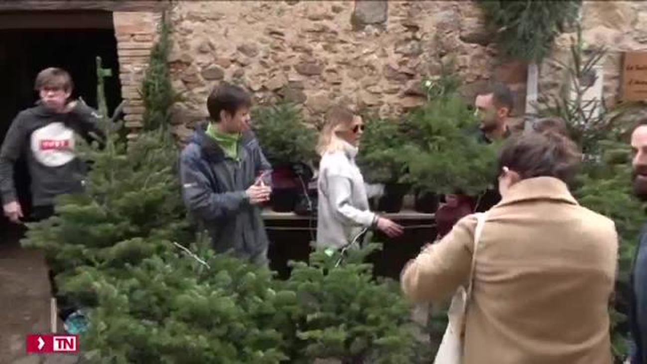 La Feria del Abeto de Espinelves, una cita obligada este fin de semana