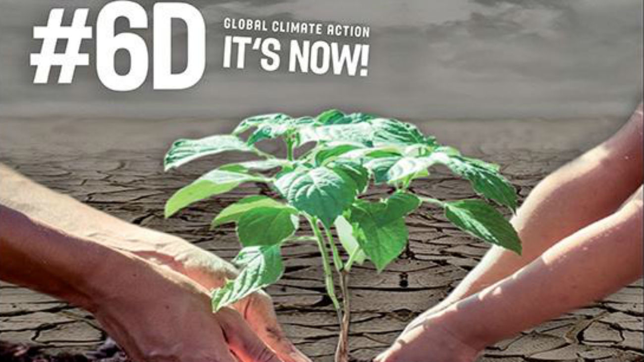 Pinto plantará 1.000 árboles