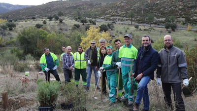 Robledo de Chavela planta 1.170 árboles en zona afectada por los incendios