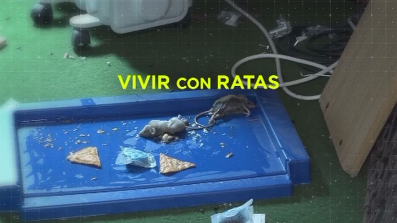 Madrid Directo 05.12.2019