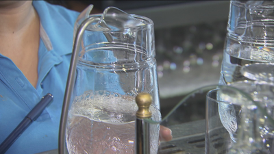 Más Madrid propone que los bares ofrezcan jarras de agua gratis