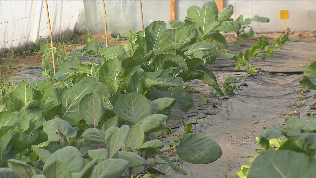 Una formación profesional sostenible, otra forma de combatir el cambio climático