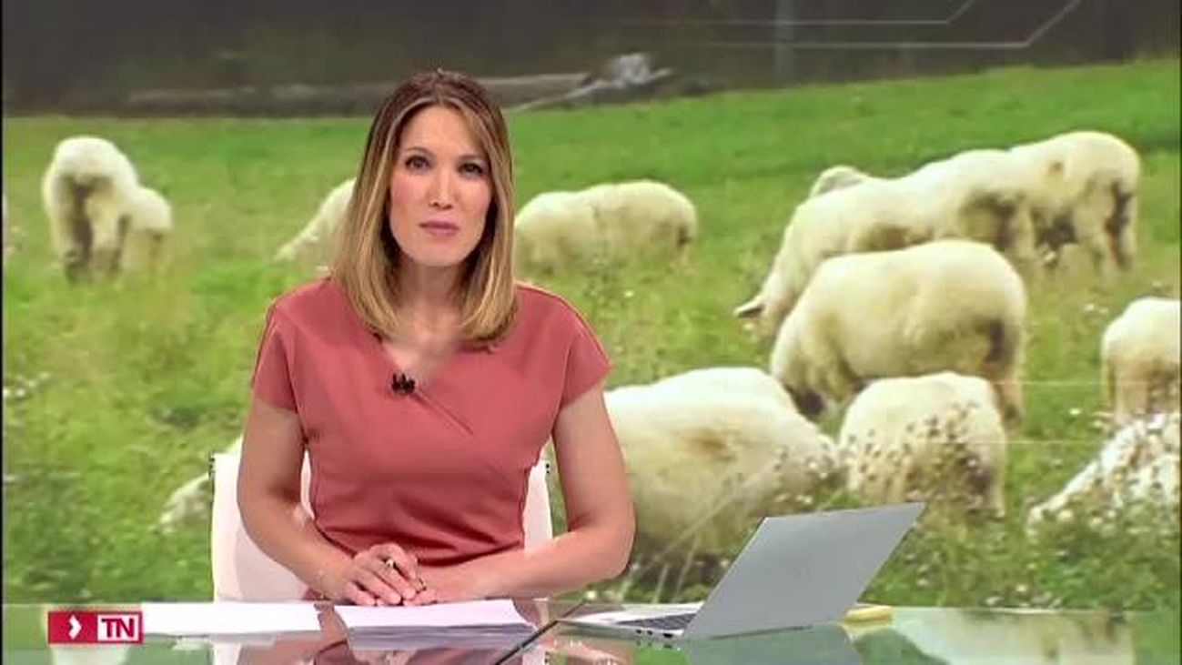 Telenoticias Fin de Semana 08.12.2019