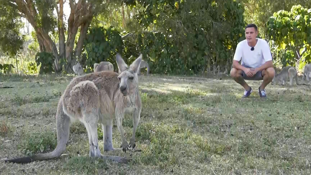 Gold Coast, naturaleza en estado puro