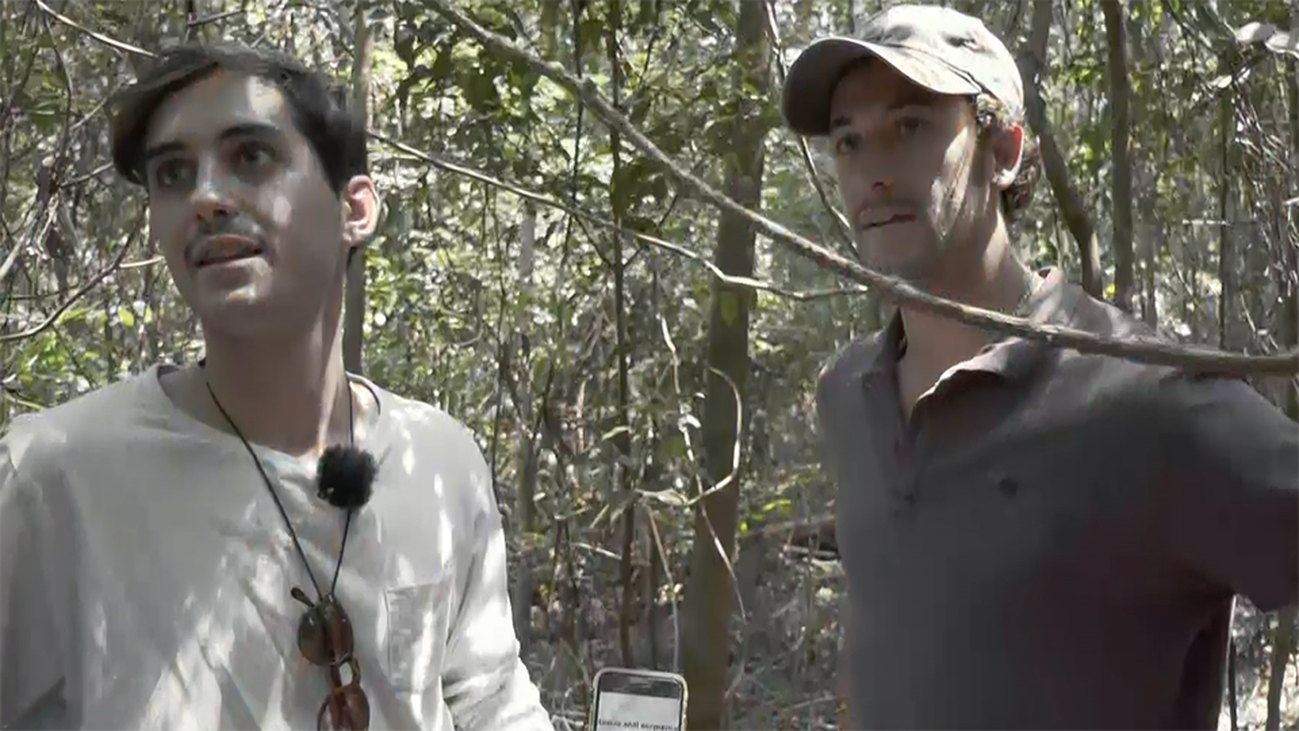 Recorremos el Parque Nacional de Springbrook