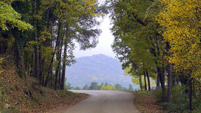 Senderismo con niños, la ruta del Castaño