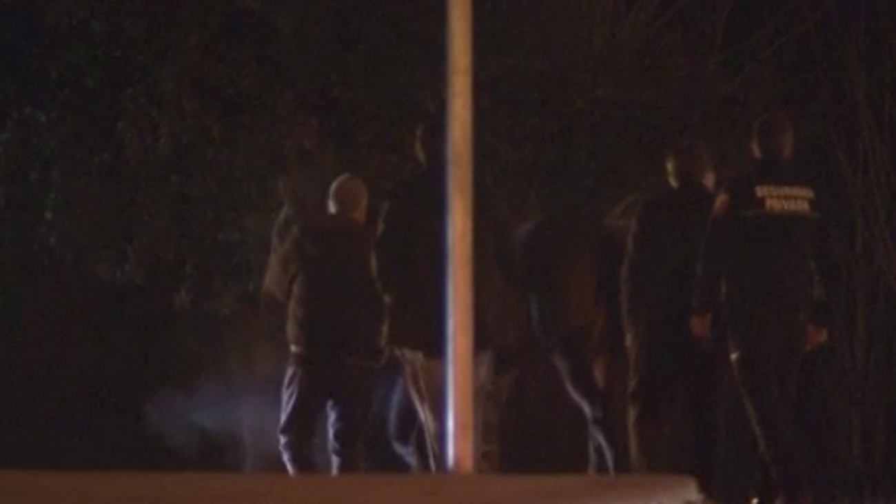 Escapa un caballo de las instalaciones del Real Club de Puerta de Hierro