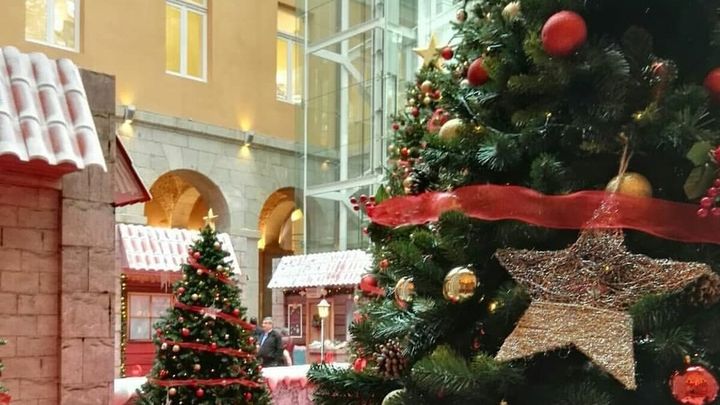Bosque de los Deseos, en la Real Casa de Correos