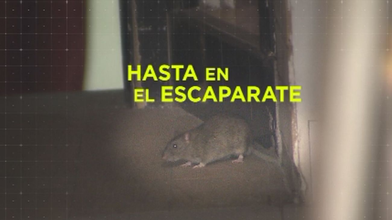 Madrid Directo 11.12.2019