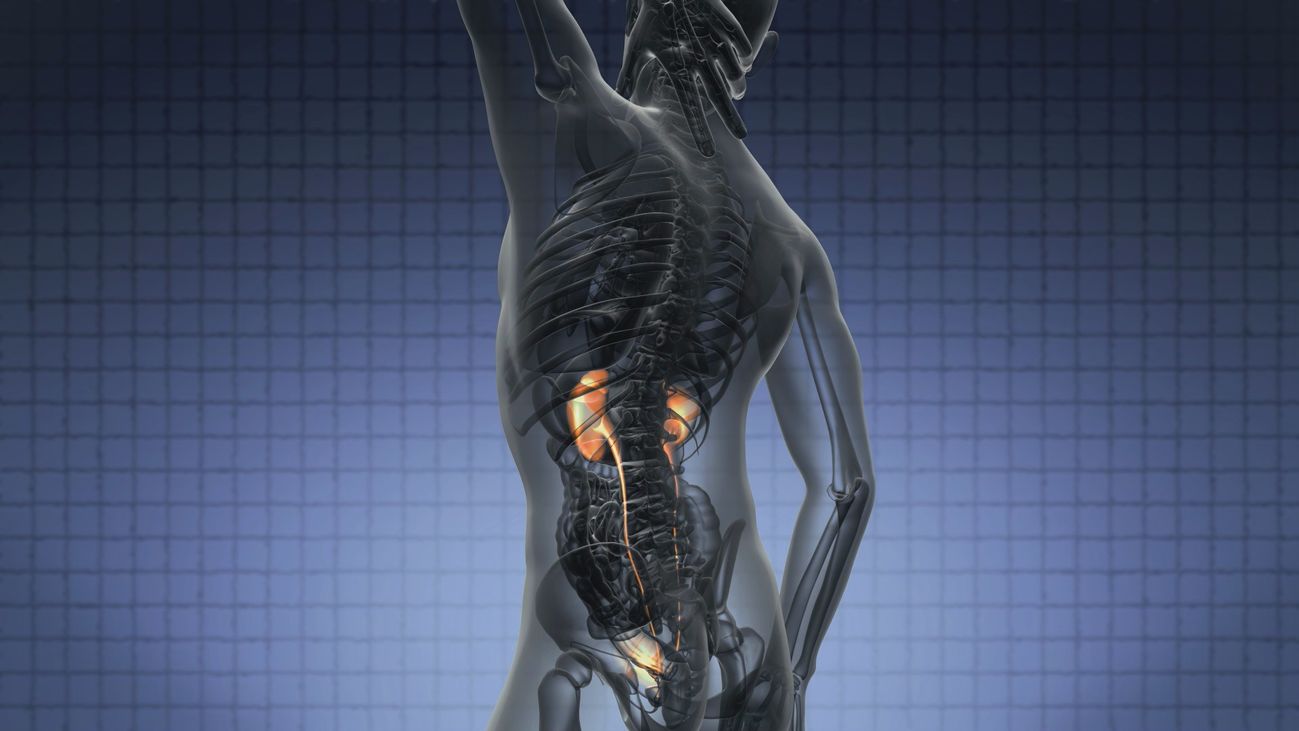 Salud al día 15.12.2019