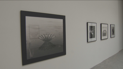 Chema Madoz presenta su exposición fotográfica en el Jardín Botánico