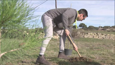 Kaiku Begetal planta 10.000 m2 de bosque en Colmenar Viejo