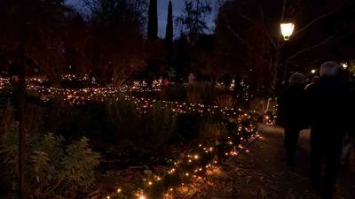 La Navidad enciende el Real Jardín Botánico