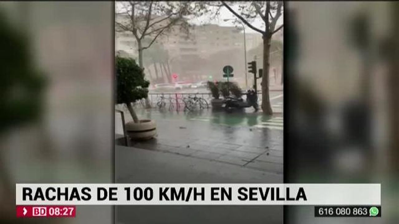 Buenos Días Madrid 17.12.2019 (8.00 - 9.00)