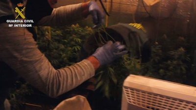 Operación contra la mafia china en Andalucía