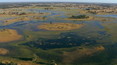 El Galeón de Manila: Botsuana salvaje