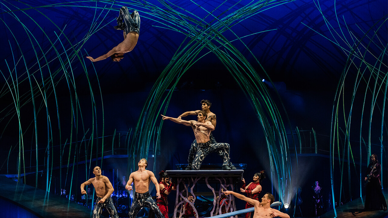 Circo del Sol: Amaluna